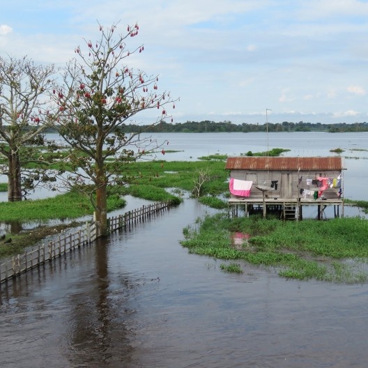 Margem do Rio Amazonas