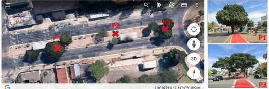 Foto aérea do Trecho 01: árvores da ciclovia da avenida Universitária, Goiânia GO