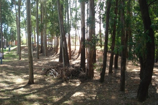 Reservatório de Cangaíba antes da execução do projeto