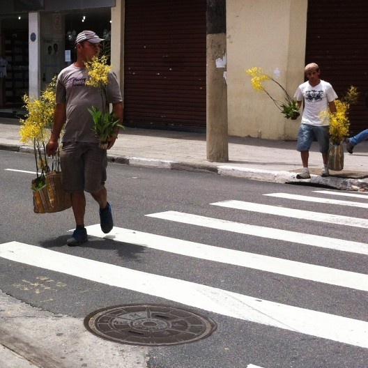 Homens atravessando na faixa de pedestres, São Paulo