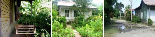 Deterioro de las viviendas de madera en el batey