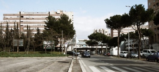 Foto Francesco Orfei