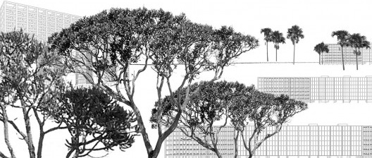 Brasília retomada pelo Cerrado