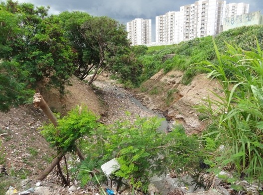 Padrões recentes de verticalização e tratamento do fundo de vale