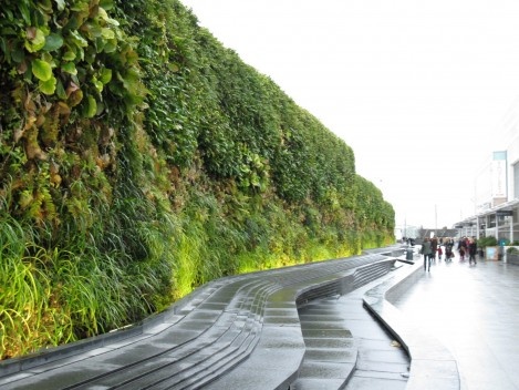 Jardim vertical em Londres: muro verde no Westfield Shopping Center, projetado pelo atelier Aecom
