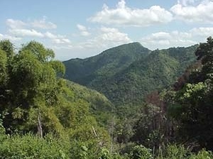 Paisagem Natural Protegida Grande Pedra