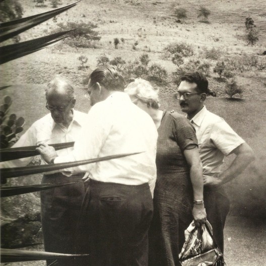Visita de Walter Gropius em companhia de Burle Marx (de costas), Claude Vincent e Wit-Olaf Prachnick aos jardins de Odette Monteiro