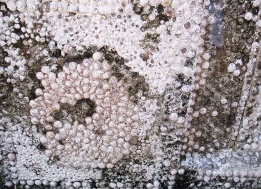 Igreja Nossa Senhora da Conceição, conchas da reforma original após cem anos, Guarapari