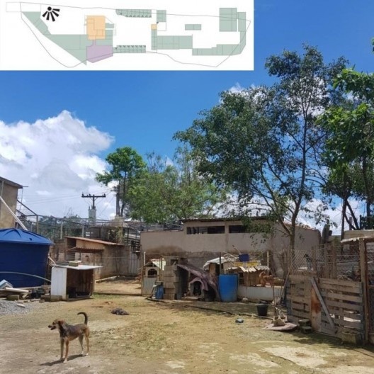 Sociedade Juizforense de Proteção Animal, canis, Juiz de Fora MG