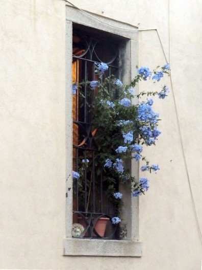 Janela com vasos de flores, Veneza
