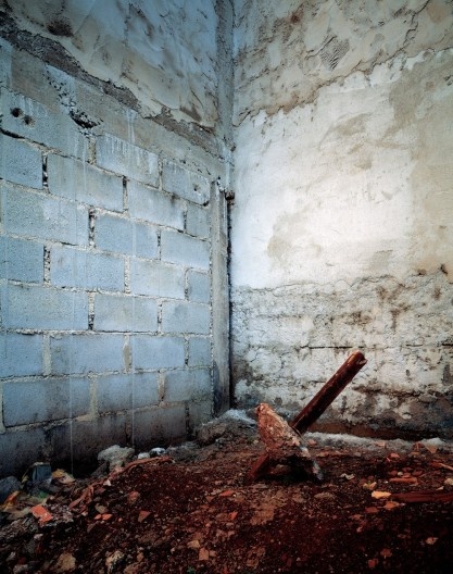 Exposição O jardim