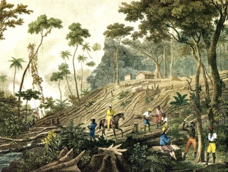 Rugendas, “Desmanche de uma floresta”, c.1820-1825.