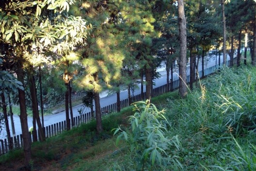 Reservatório Sabesp Butantã antes da execução do projeto