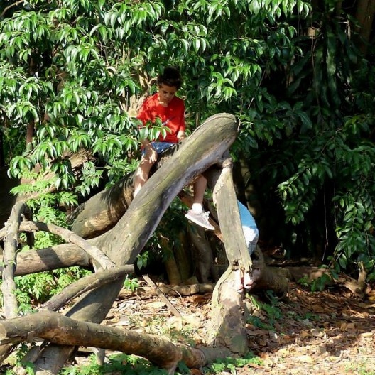 Parque Augusta, mobilização