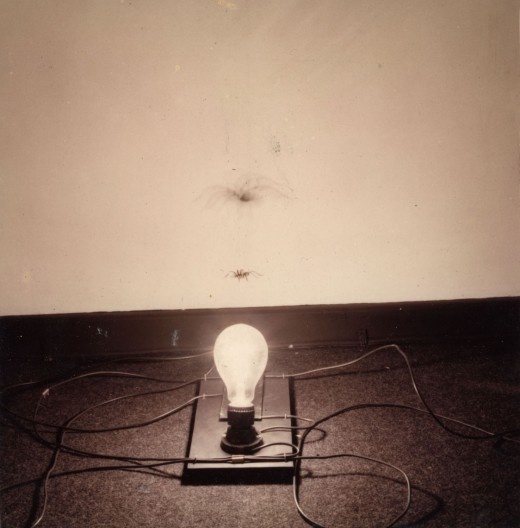 Tunga, “Pálpebras”, Galeria Cândido Mendes, 1979