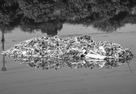 Excesso de lixo no Rio Pinheiros, São Paulo, 07/01/2015