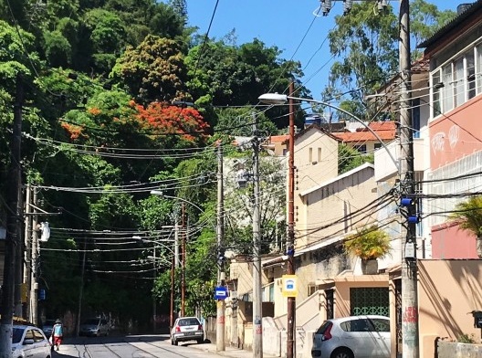 A rua Almirante Alexandrino no trecho entre a rua Aarão Reis e a Vista Alegre. À direita, pequenos edifícios multifamiliares do início do século 20. À esquerda a mata sobe a encosta até a crista