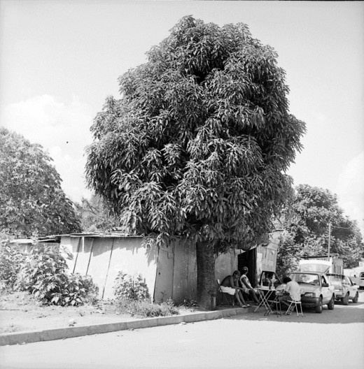 Barracos na periferia do Distrito Federal, Brasília, 2000