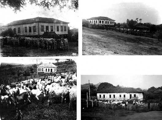 Currais nos acessos das sedes