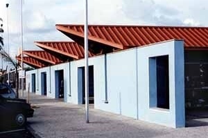 El gato y el ratón. Ambulantes urbanos y poder municipal (1)