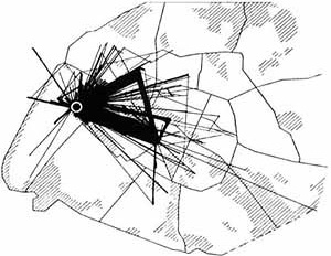 A teoria da deriva, de Guy Debord, além de principal procedimento situacionista, é o fundamento das hipóteses acerca de uma cidade situacionista. Paul-Henry Chombart de Lauwe, Trajets pendant um na dúne jeune fille du XVIe arrondissement [trajetos relizad