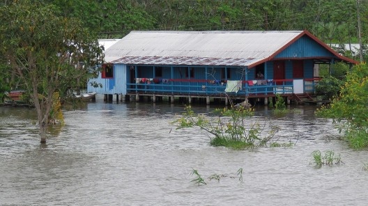 Margem do Rio Amazonas
