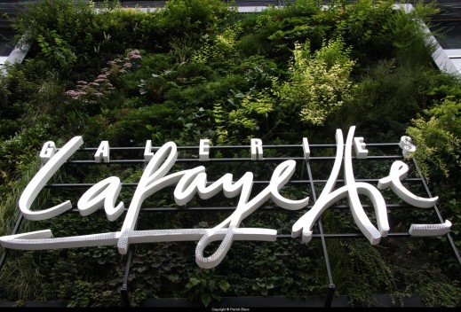 Detalhe do “Painl verde” de Patrick Blanc na loja de departamentos Galeries Lafayette em Berlin (2009)