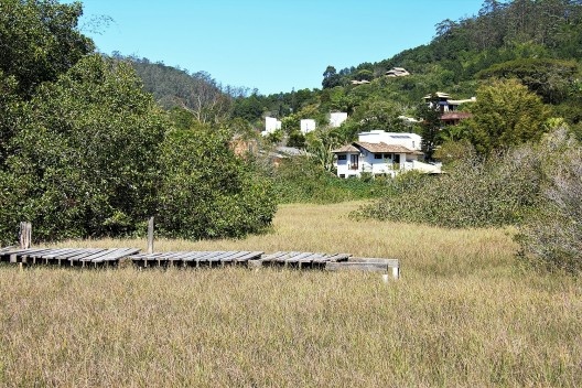 Restos de um trapiche sobre o antigo leito do córrego; a formação brejosa é função da umidade residual