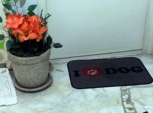 Cenas cotidianas de um edifício residencial