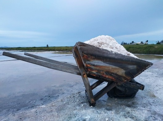 Onde estão as salinas?