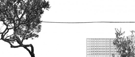 Brasília retomada pelo Cerrado