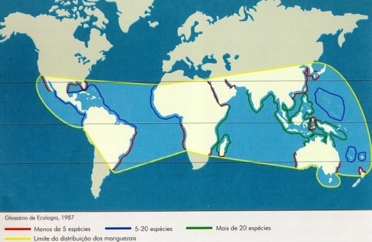 Mapa da distribuição dos manguezais no mundo