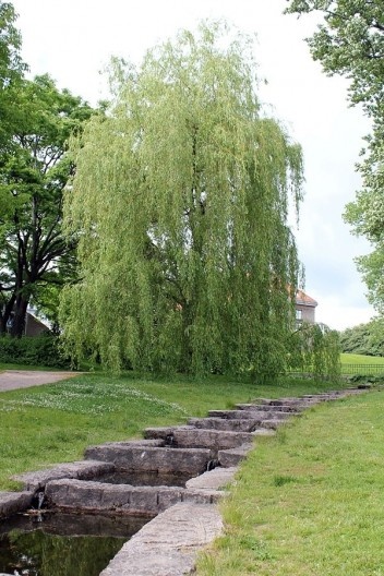 Jardim Botânico da Universidade Toyen Hagen