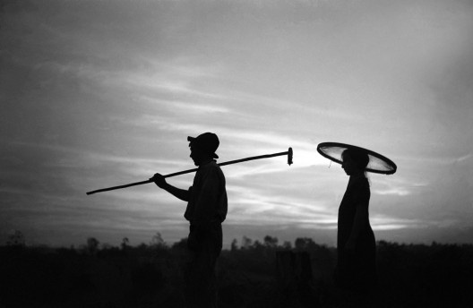De manhã, indo colher café, Chácara Arara, Londrina PR,1940
