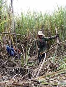 Nova abordagem ao estudo histórico regional e local de Cuba