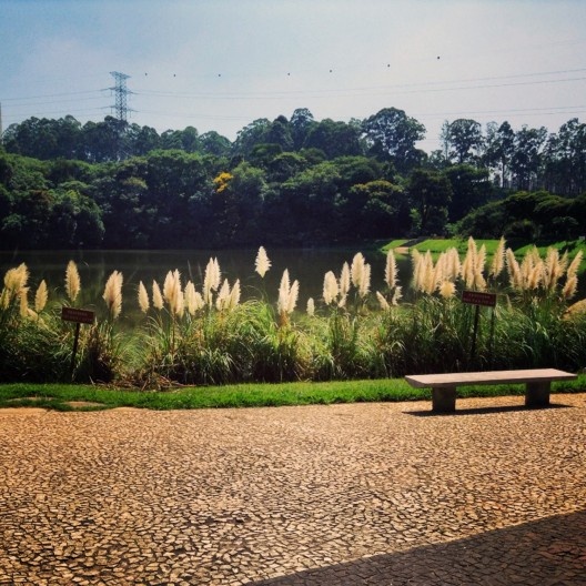 A incorporação da pauta ambiental na produção dos parques públicos municipais de São Paulo