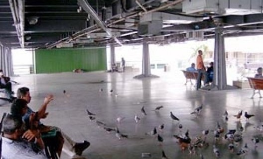 Notas sobre a polêmica da Prefeitura de Salvador
