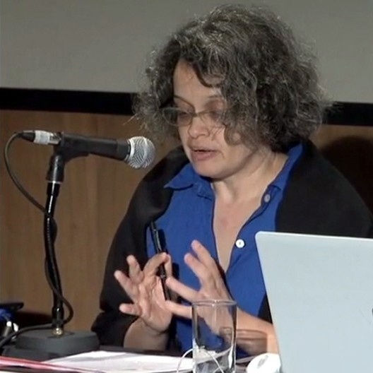 Paola Berenstein Jacques