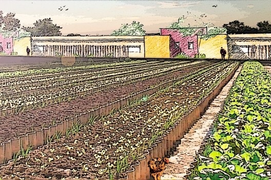 Proposta bairro urbano + produção agrícola, montagem ilustrando os lotes agrícolas. Roney Pessoa, FAU PUC-Campinas