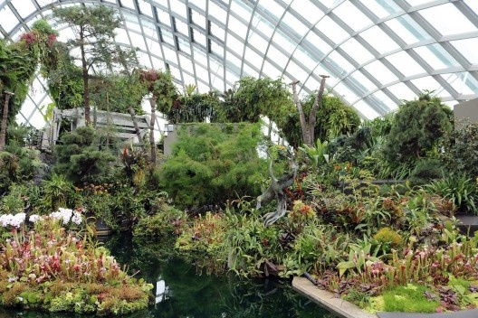 Cloud Forest, vista do Jardim Secreto, Singapura