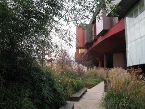 Aspectos da fachada verde do Musée du quai Branly em Paris, inaugurado em 2005. Note-se a exuberância das plantas mesmo em pleno inverno europeu – foto tirada em dezembro. A riqueza de textura, cor se prolonga também nos jardins do museu