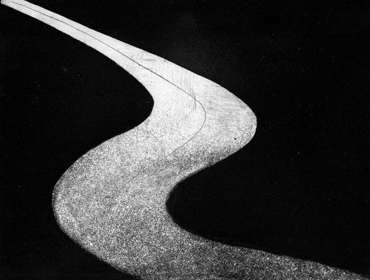 Ilustração Evandro Carlos Jardim