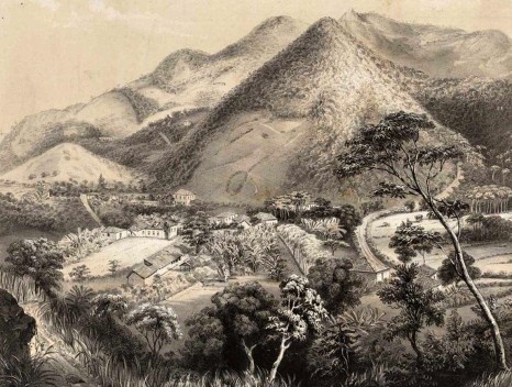 Detalhe da litografia de Alfred Martinet “Serra da Tijuca, Bella Vista”, de 1849.