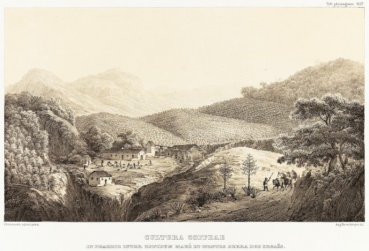 Antiga Fábrica de Tecidos
