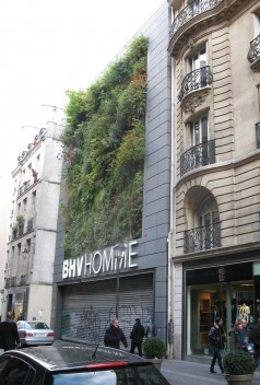 “Painéis verdes” de Patrick Blanc para a rede de lojas BHV Homme em Paris, (concluído em 2007)