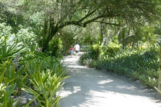 Chacel e suas obras ecogenéticas na Barra da Tijuca