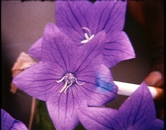 Marinella Pirelli, fotograma de Bruciare, 1971