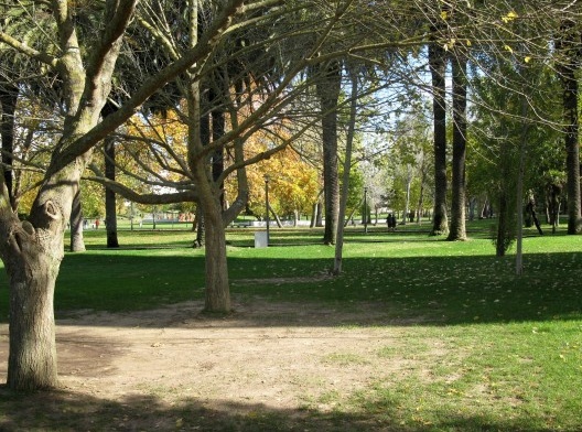Aspecto da arborização remanescente da quinta