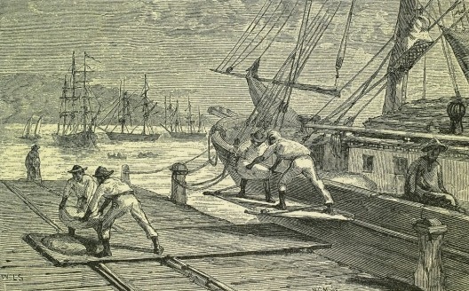 Carregando um navio com café no Rio de Janeiro, gravura de Herbert Huntington Smith