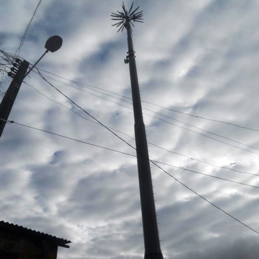 Torre de celular camuflada em palmeira, São Cristóvã SE [passe o mouse sobre a foto]